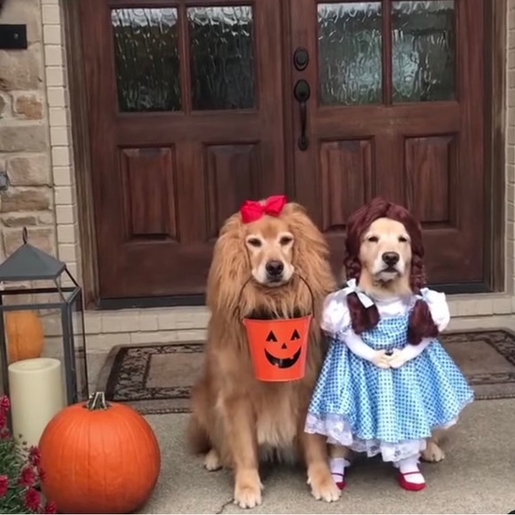 Journey #19 Follow The Yellow Brick Rd๐ธ๐ธ๐ธ๐ธ - Picture 14 of 16